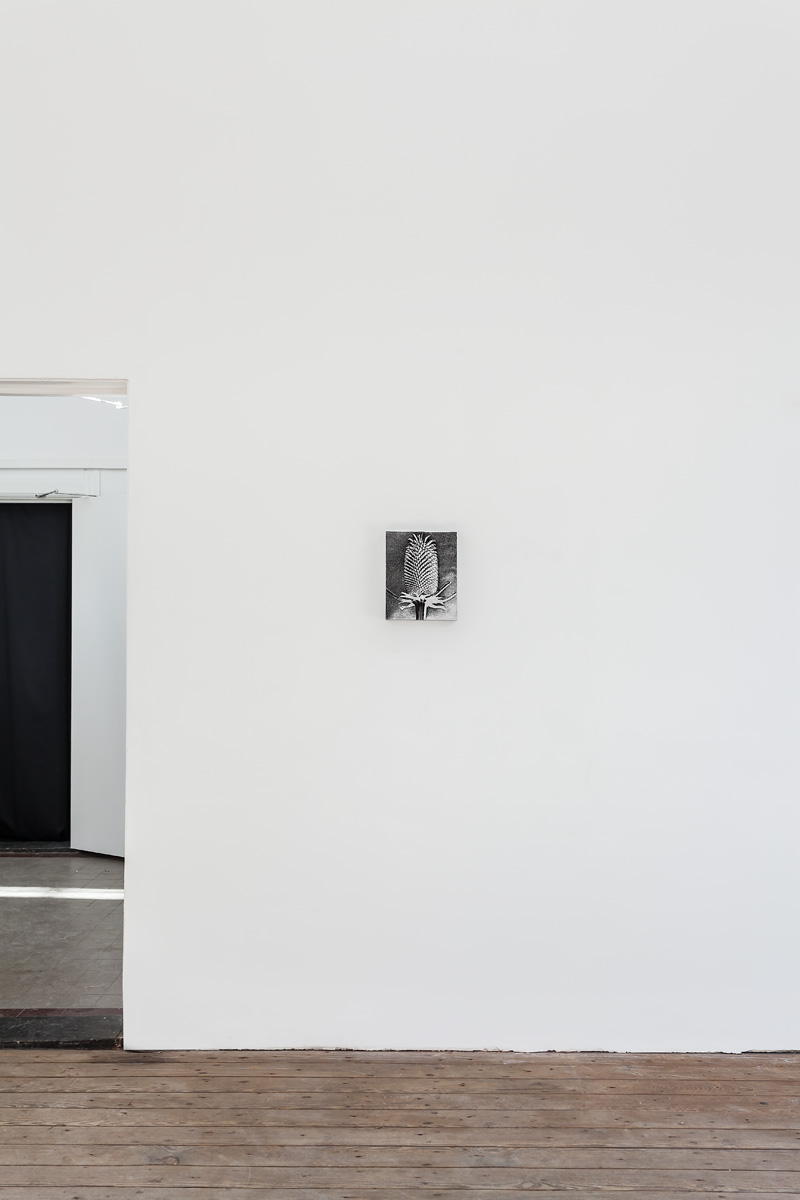 Installation view; Spiros Hadjidjanos; Three Rooms - Galerie Gabriel Rolt