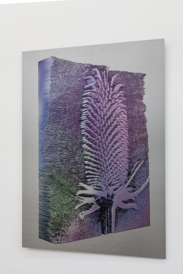 Spiros Hadjidjanos - Dipsacus Fullonum - Ultraviolet Print on Carbon Fibre; Three Rooms