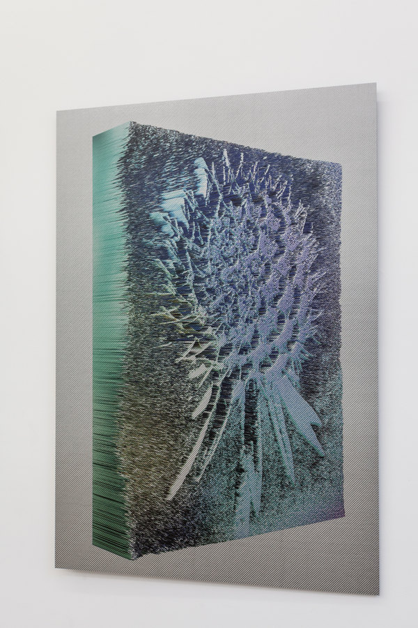 Spiros Hadjidjanos - Scabiosa Columbaria - Ultraviolet Print on Carbon Fibre - Three Rooms