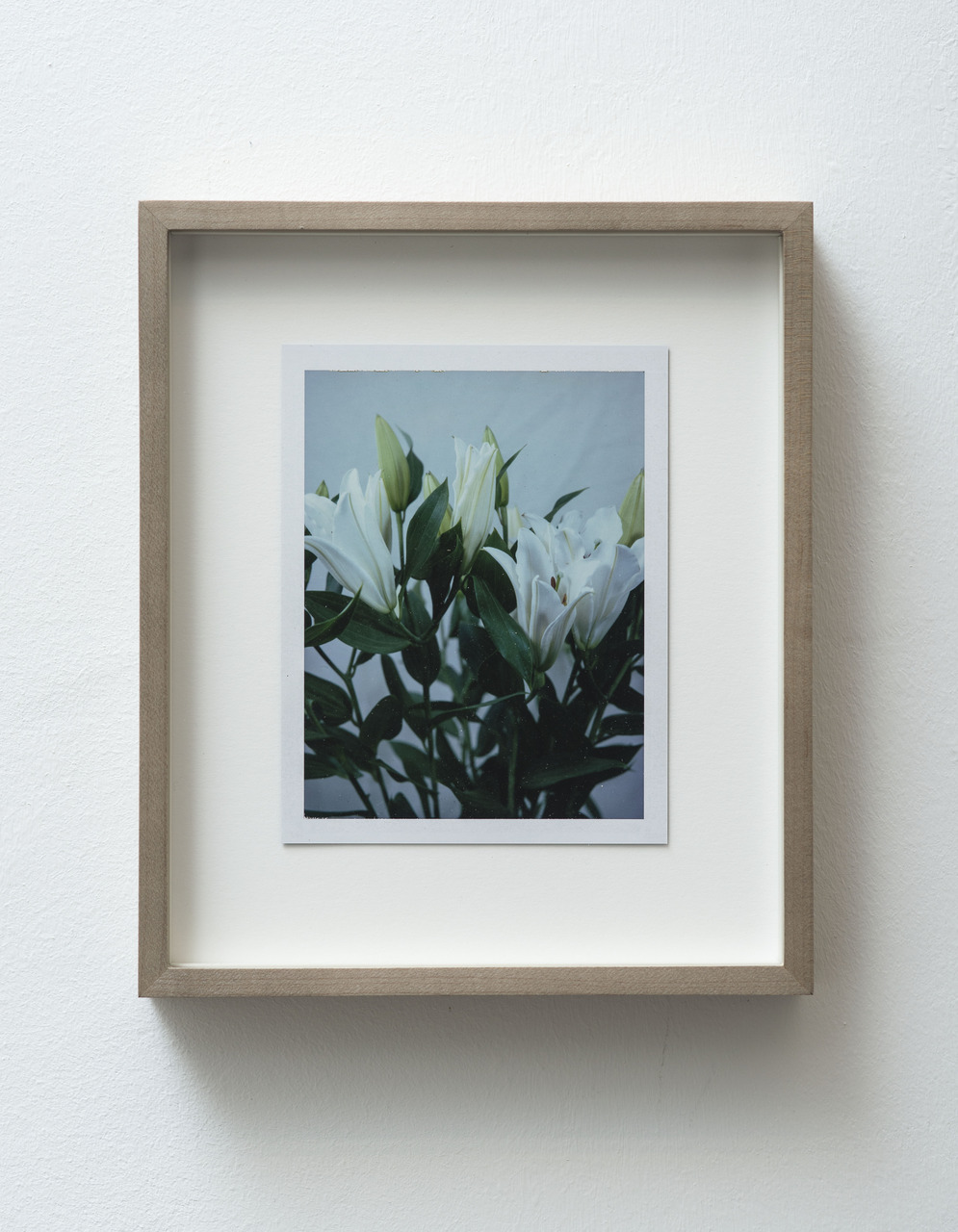 7_FG_Falls_Untitled (Life and death, Easter lilies)_diptych_A