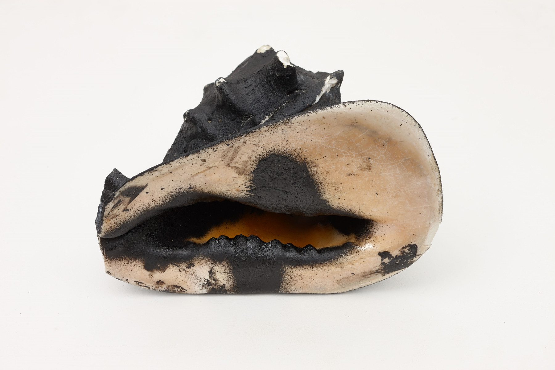 Michael E Smith - Untitled (Helmet shell), 2014