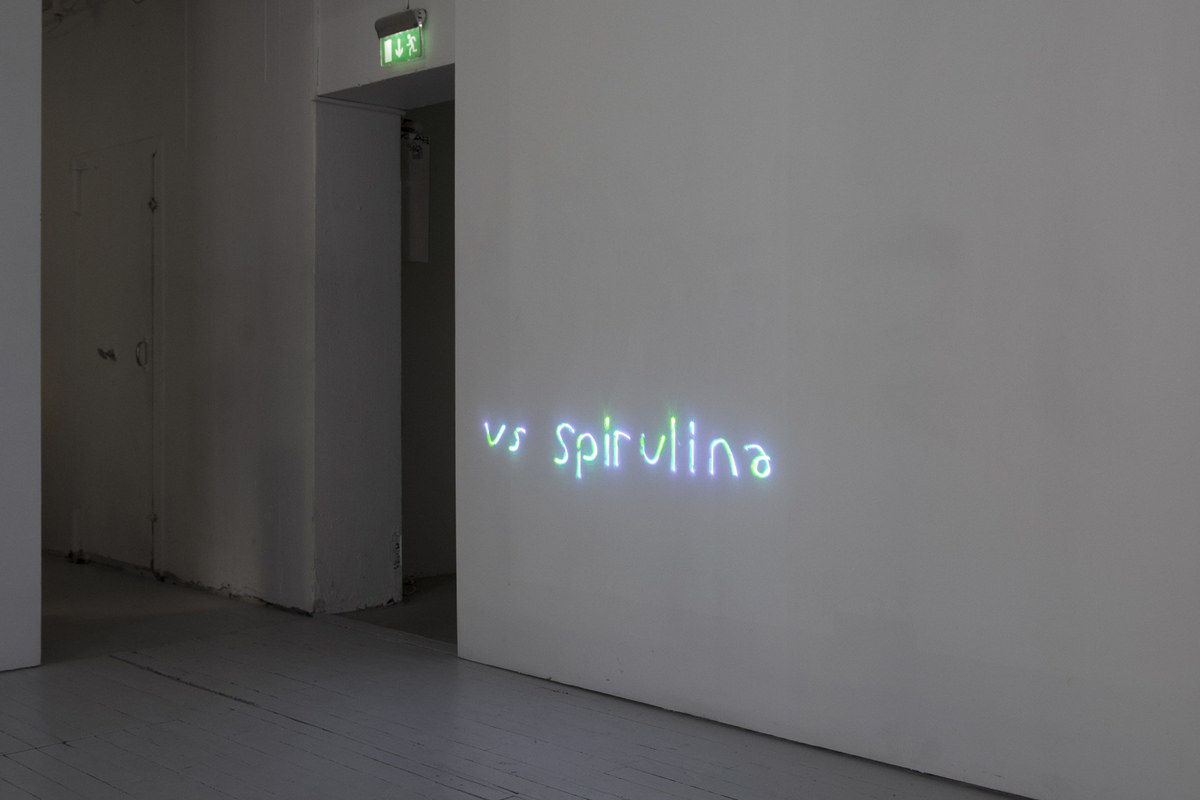 5. Theory of the plankton, exhibition view. Chlorella vs Spirulina Wars RGB laser projection