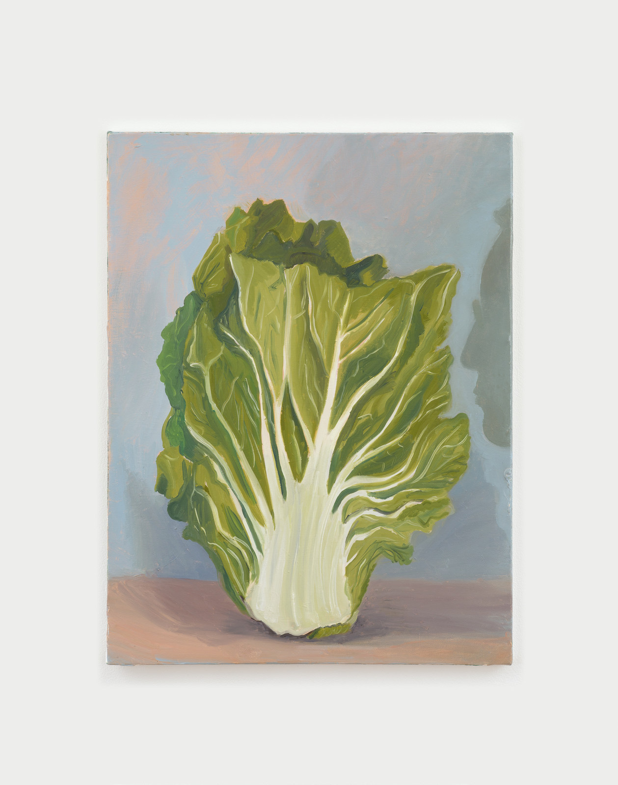 Cabbage (and Philip) No.5-300