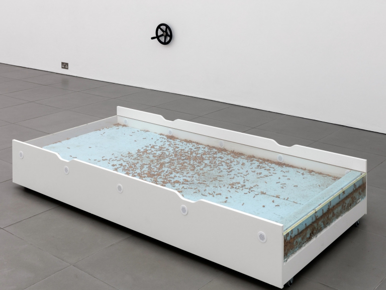 7.aude Pariset. Promession┬« #1, 2016, Flaxa Underbed, Perspex, Wheels, Styrofoam, Giant Mealworms, Vents, Mdf. 90 X 202 X 31 Cm