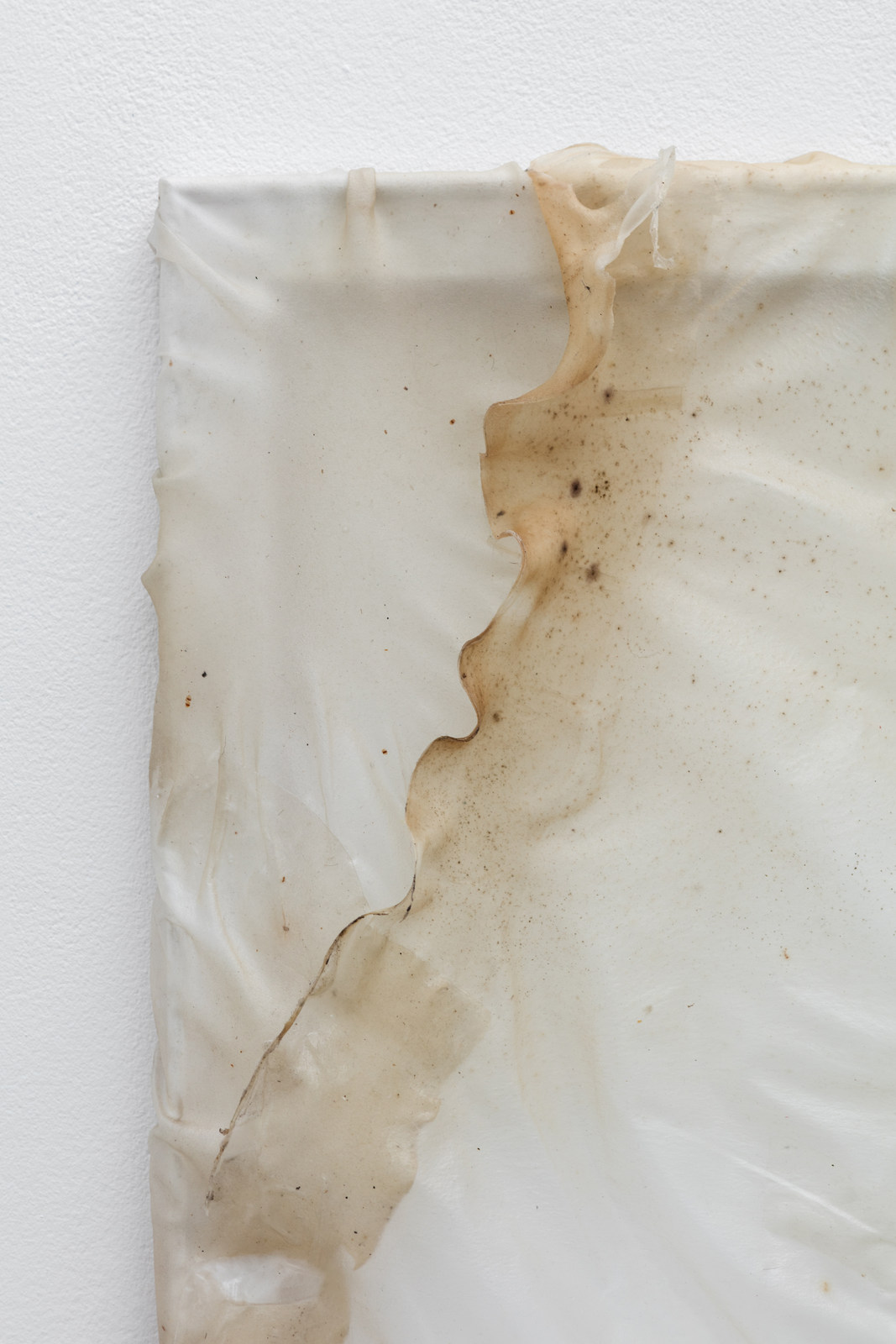 18.Aude Pariset. Me╠ünage Garbage Patch 2, 2016. Bioplastic, mold, wood, paint, 55 x 110 cm 2