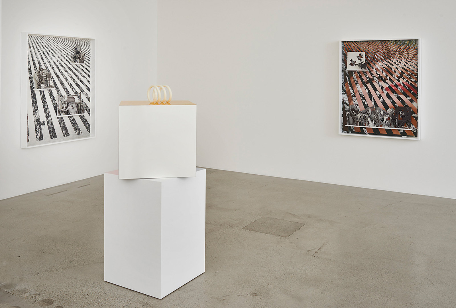 An Uncanny Order, 2016_Jessica Silverman Gallery_installation view_PRS 7