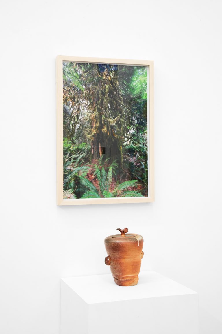 Nature’s Way at COOPER COLE – Art Viewer