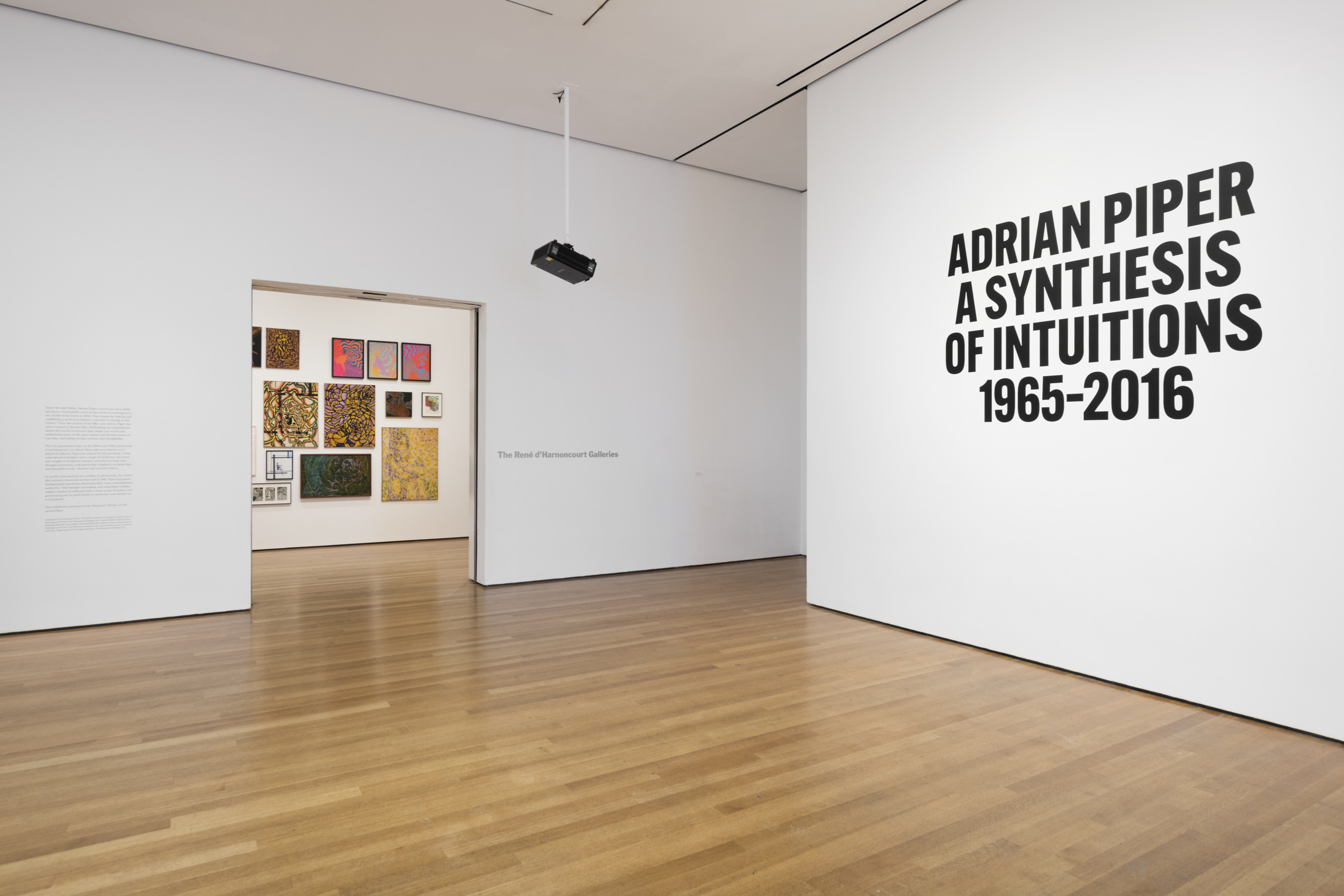Adrian at MoMA – Art Viewer