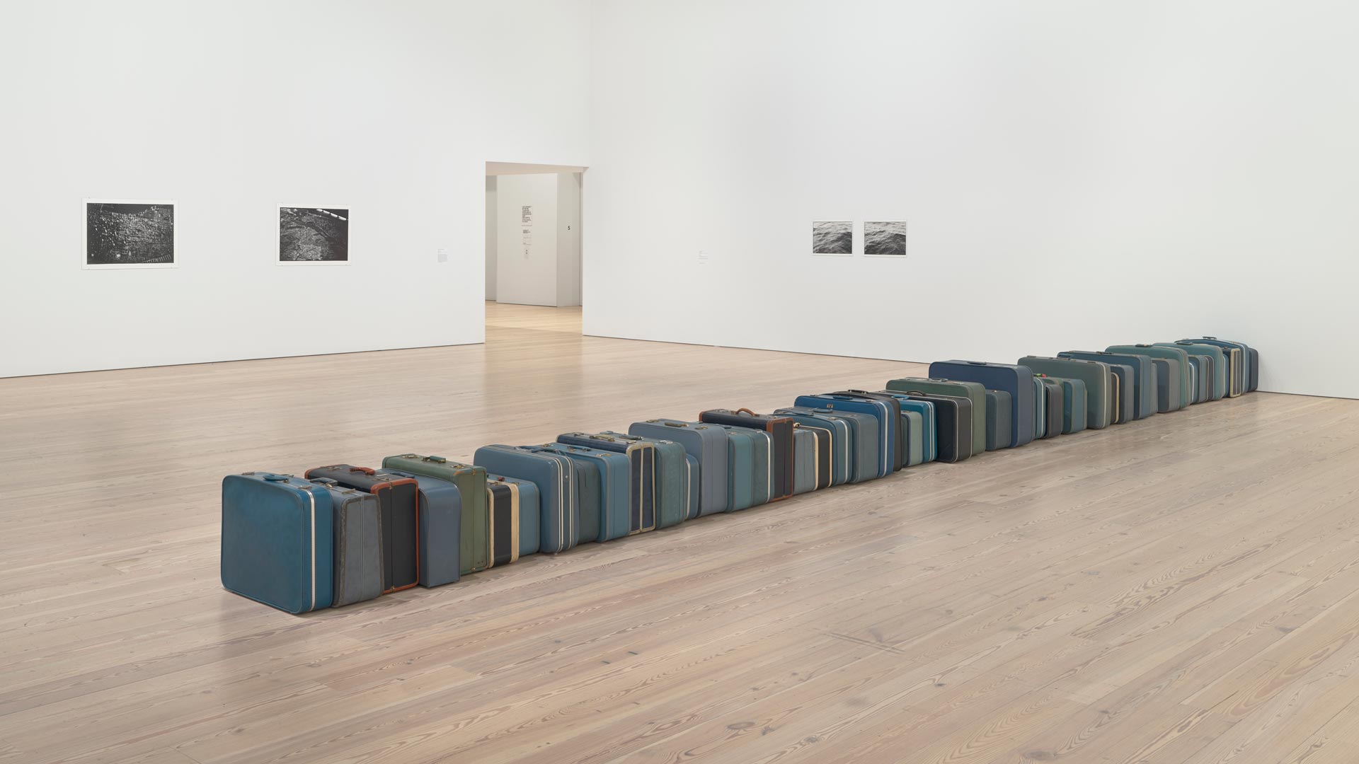 Zoe Leonard at Whitney Museum of American Art – Art Viewer