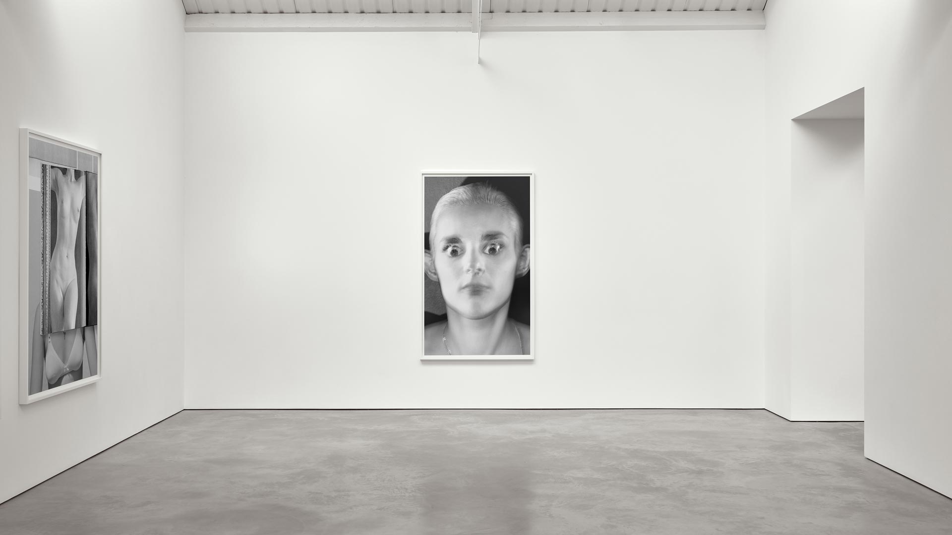 Collier-Schorr-at-Modern-Art-