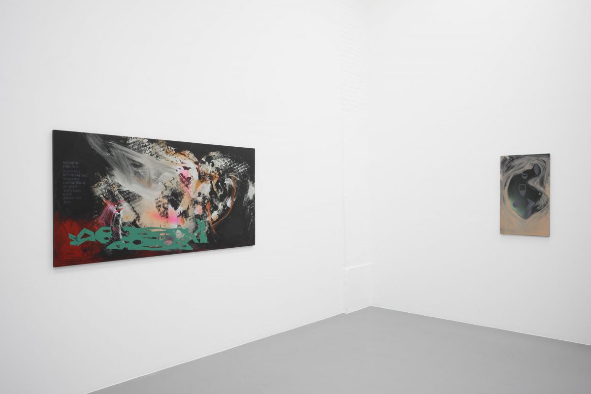 Anne-mie Van Kerckhoven At Zeno X Gallery – Art Viewer