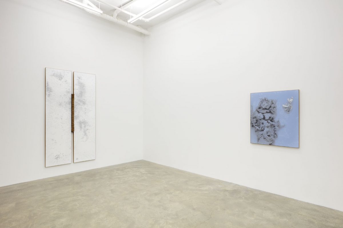 N. Dash at Casey Kaplan – Art Viewer