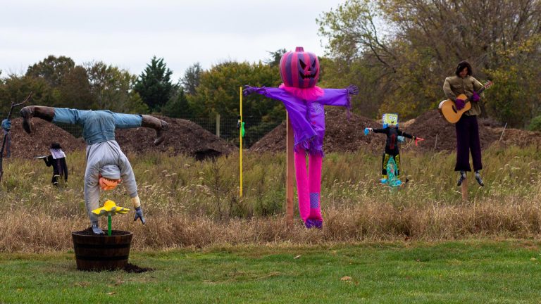 Scarecrow Show At Green Thumb Farm Cover