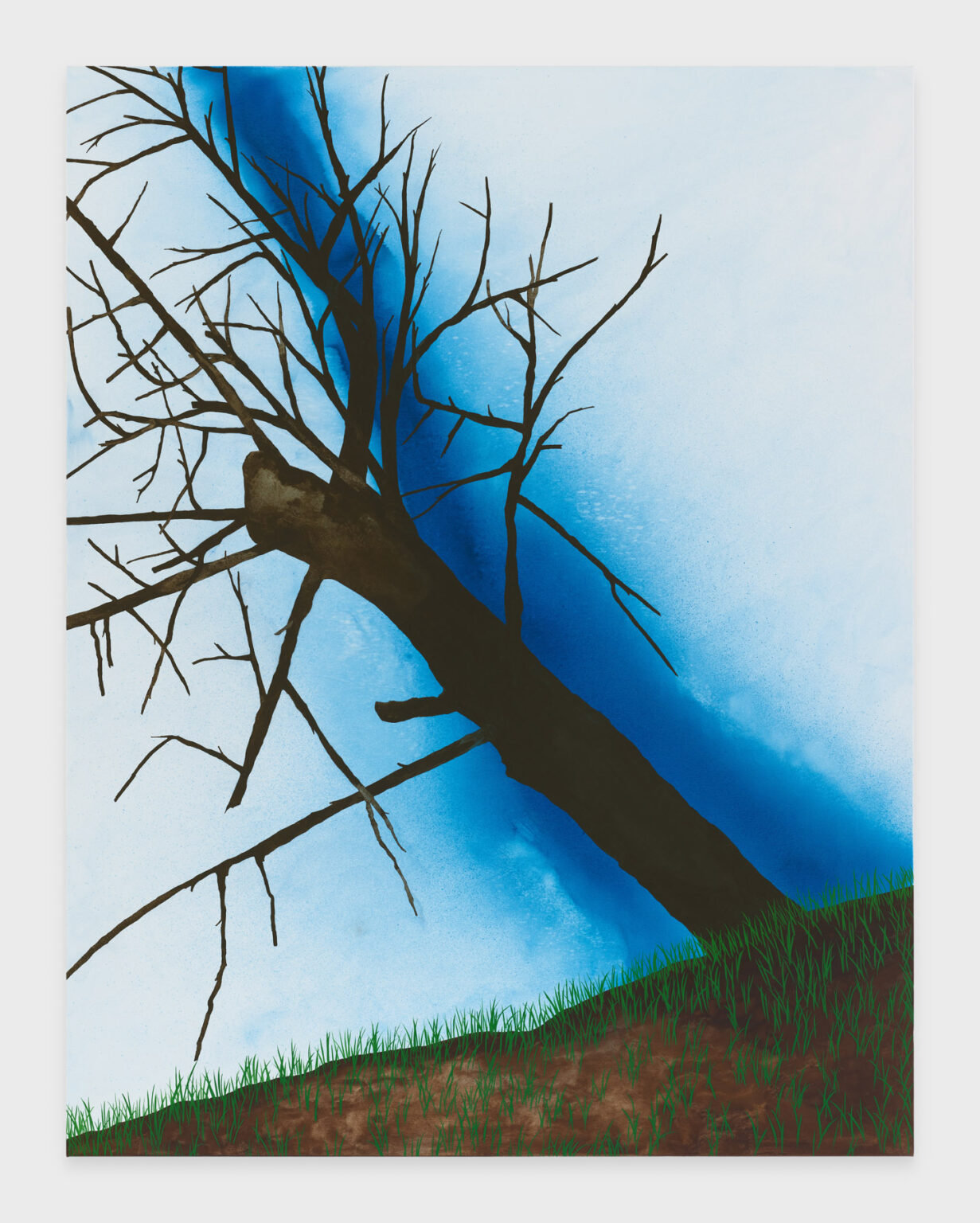 Calvin Marcus at C L E A R I N G Art Viewer