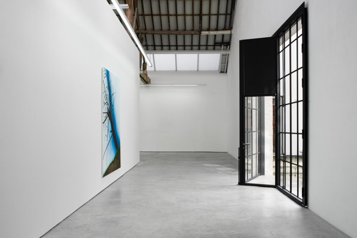 Calvin Marcus at C L E A R I N G Art Viewer