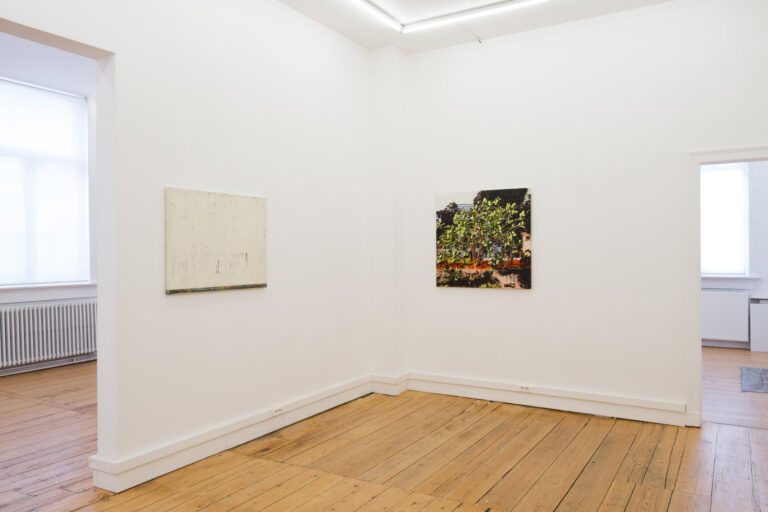 Anne Van Boxelaere at Fred & Ferry – Art Viewer