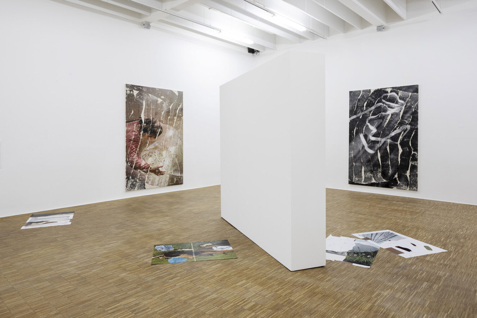 Tatjana Danneberg at Salzburger Kunstverein – Art Viewer