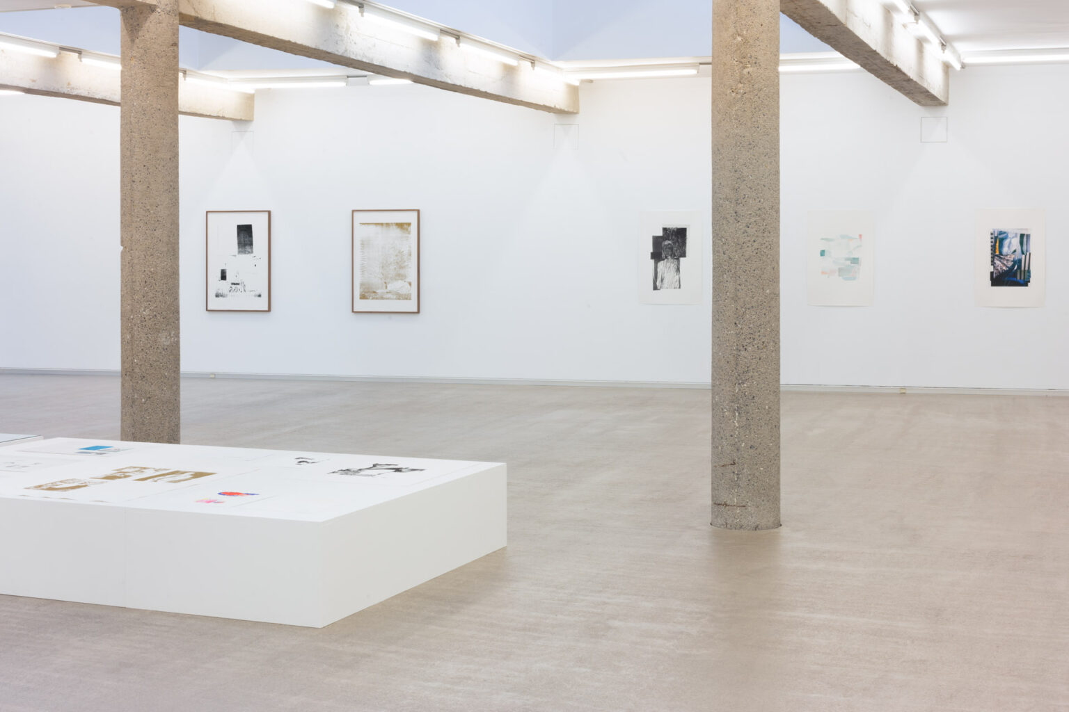 Azucena Vieites at CarrerasMugica Art Viewer