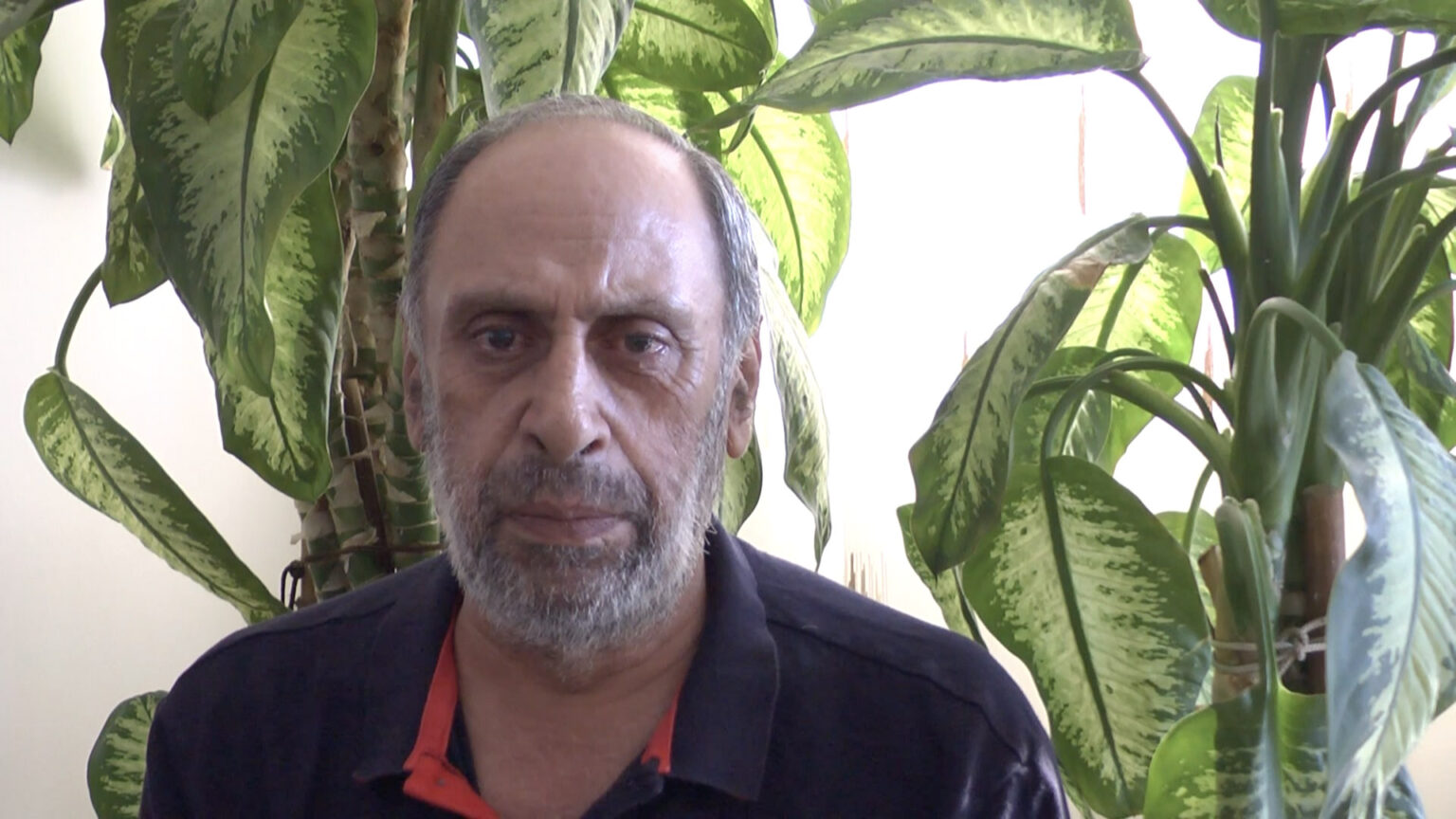 Elham Rokni at Dvir Gallery – Art Viewer