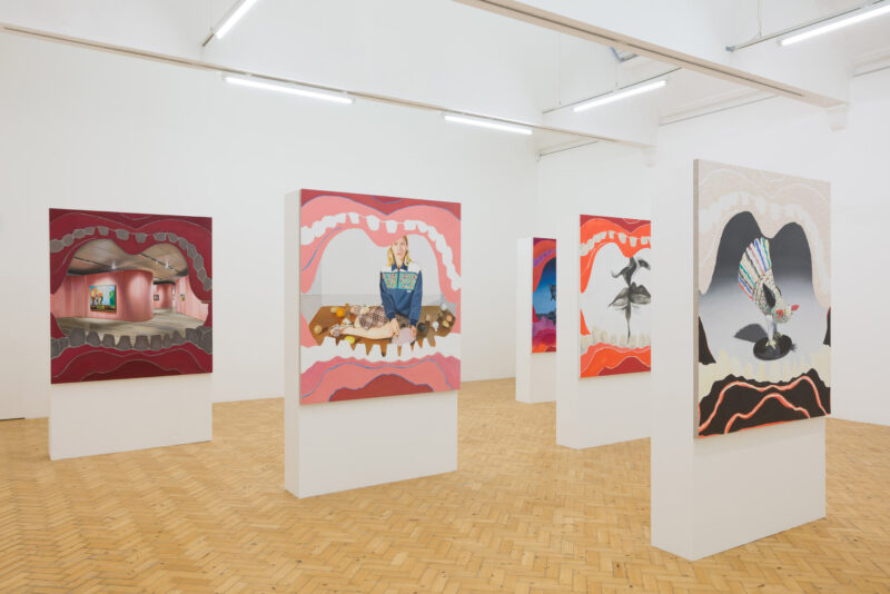 allison-katz-at-camden-art-centre-art-viewer