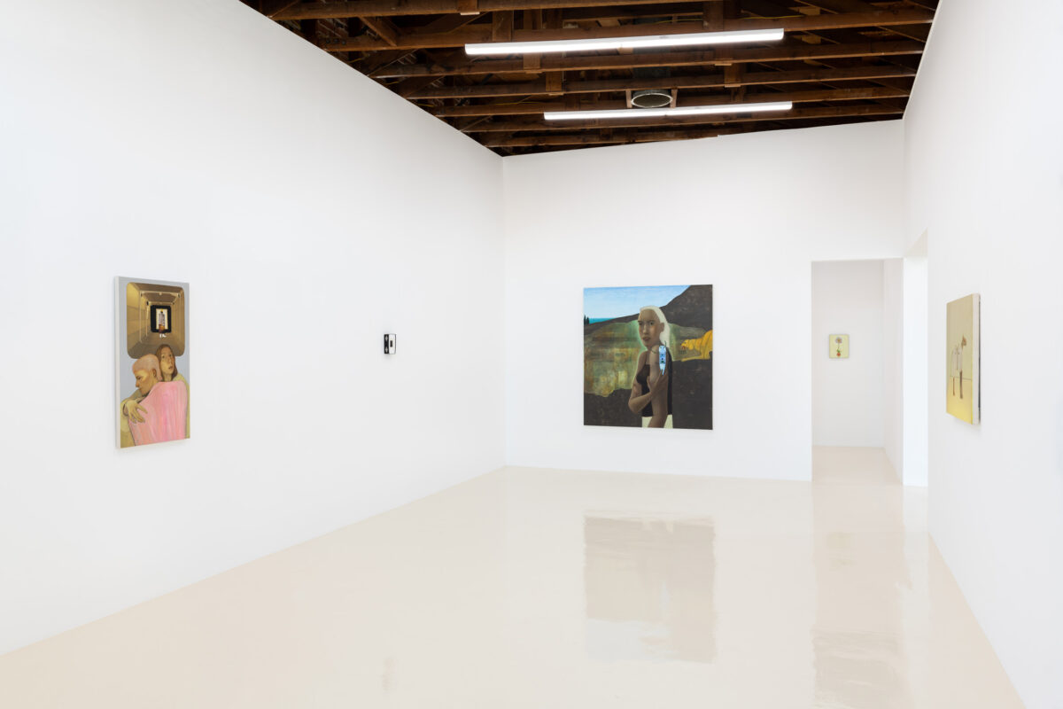 Anna Glantz at Chris Sharp Gallery – Art Viewer