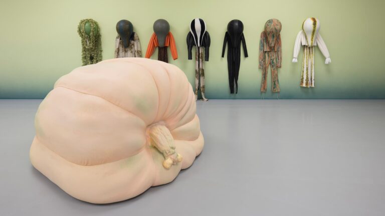 Anthea Hamilton At M Hka Cover