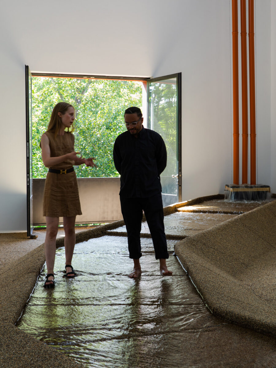 Asad Raza at Portikus – Art Viewer