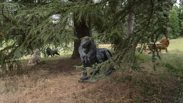 Sculpture Garden At Geneva Biennale Cover