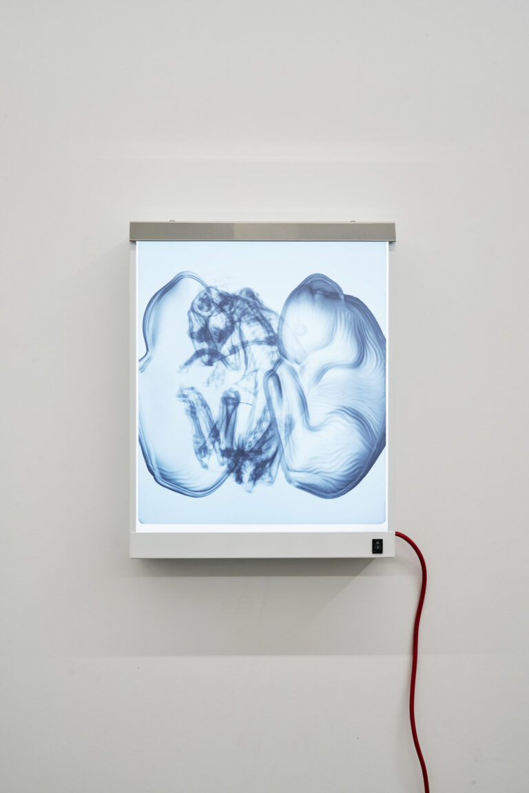 Charles Degeyter at Tatjana Pieters Art Viewer