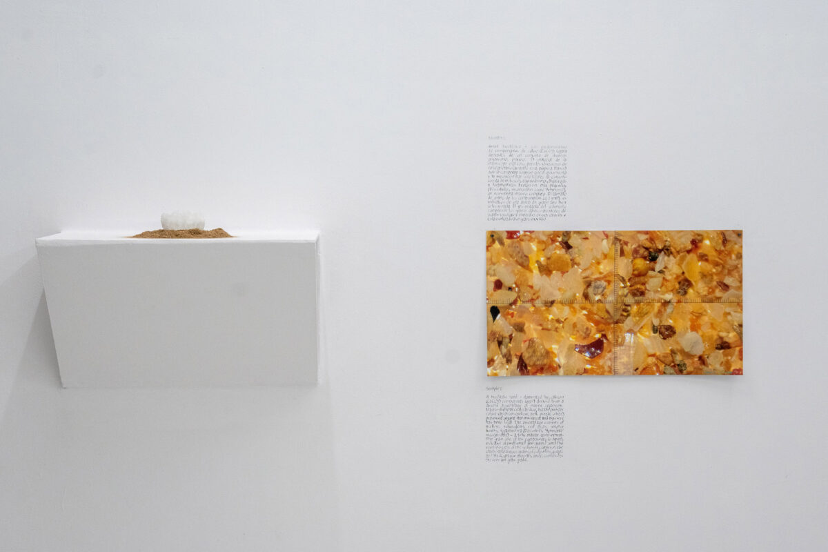 Adjoa Armah at fluent Art Viewer