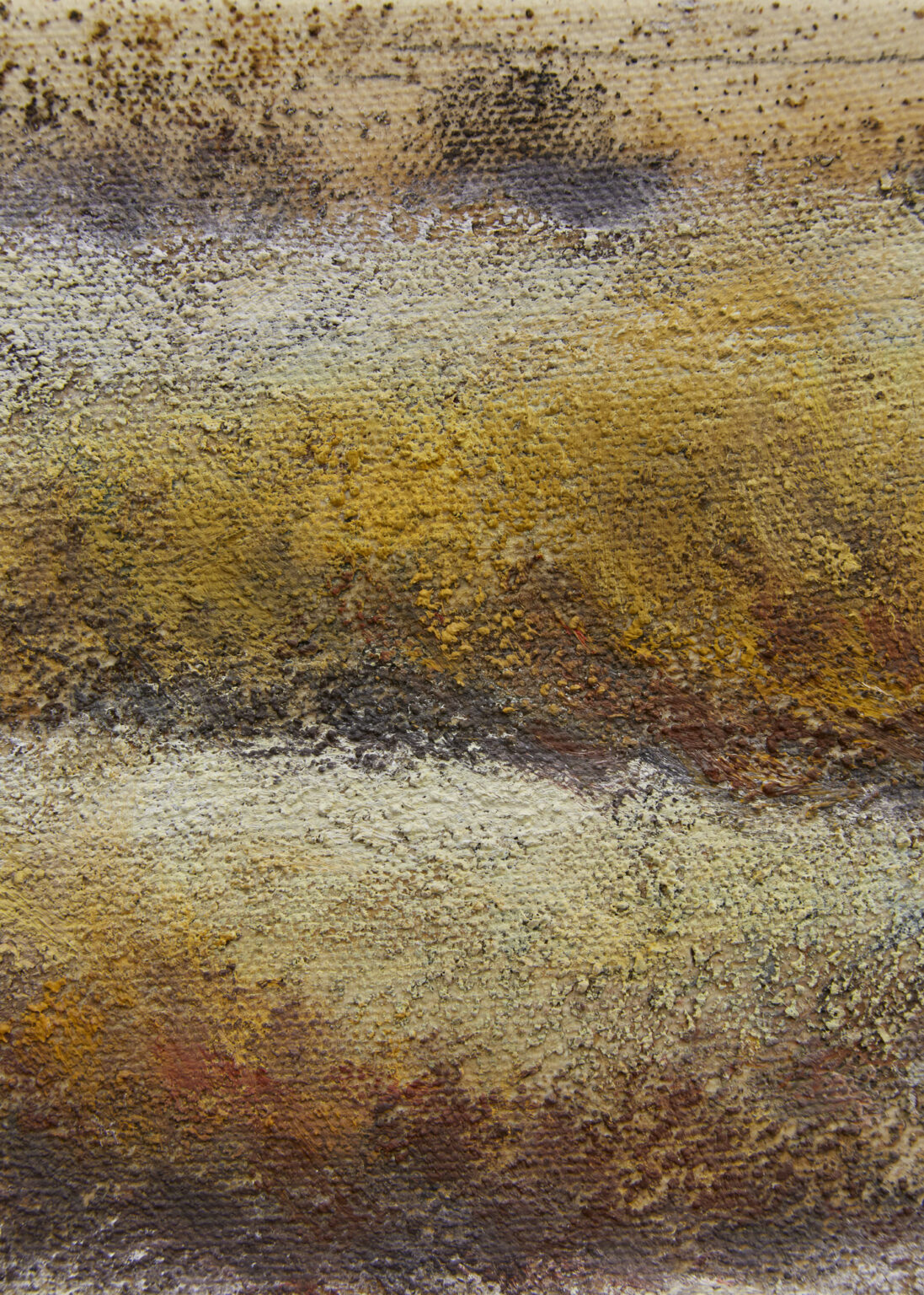 Andrew North at South Parade – Art Viewer