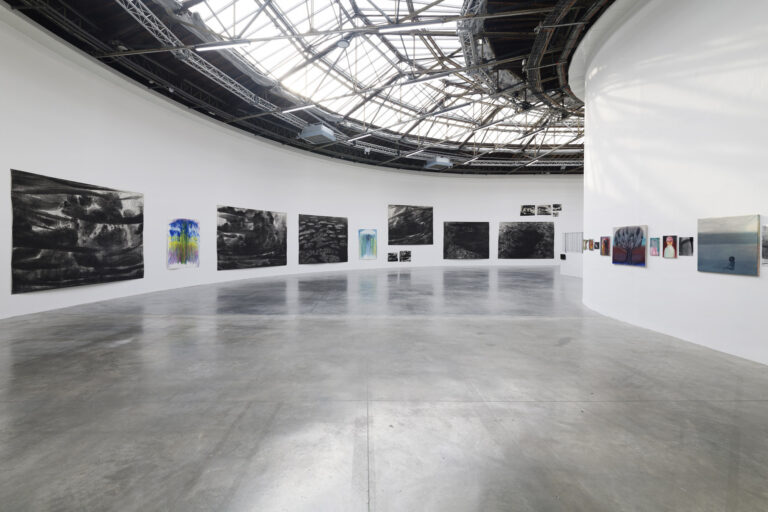 Miriam Cahn At Palais De Tokyo 14