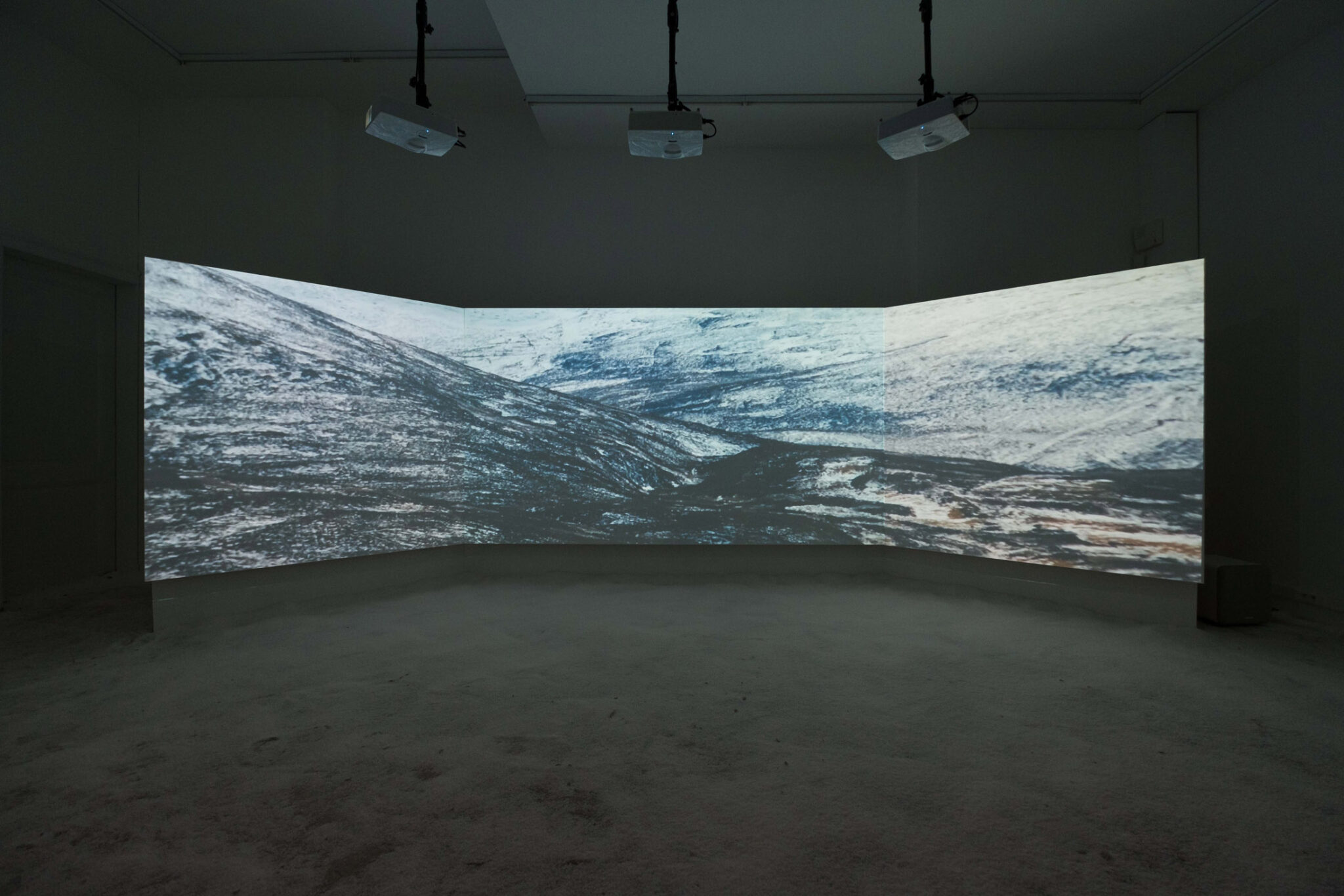 Lydia Hannah Debeer at Fred & Ferry Art Viewer