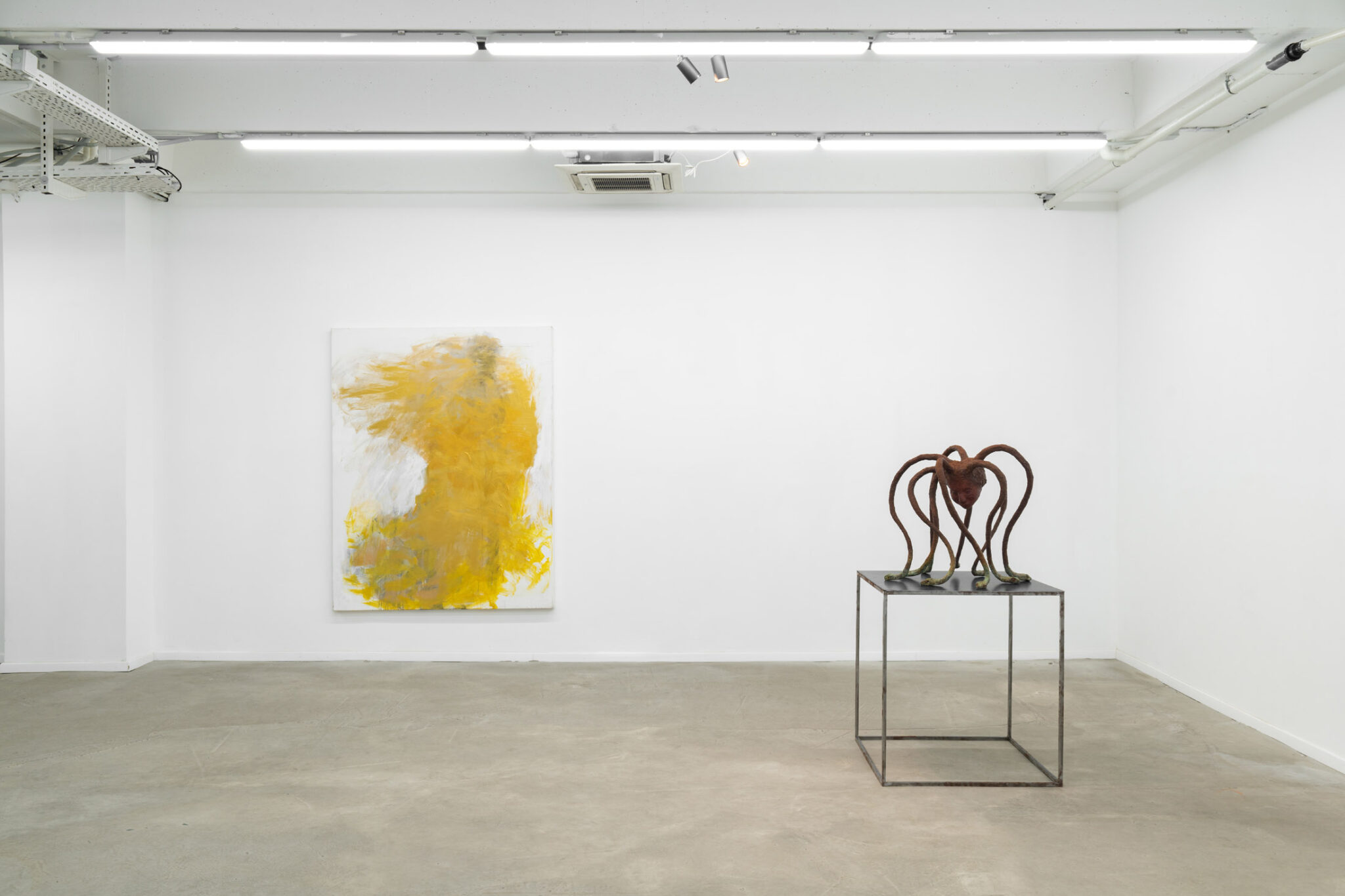 Sigalit Landau and Yudith Levin at Dvir Gallery – Art Viewer