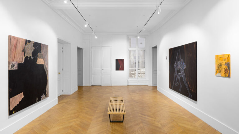 Victoria Palacios At Galerie Derouillon 18