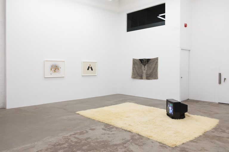 Chrysanne Stathacos At Cooper Cole, Toronto 1