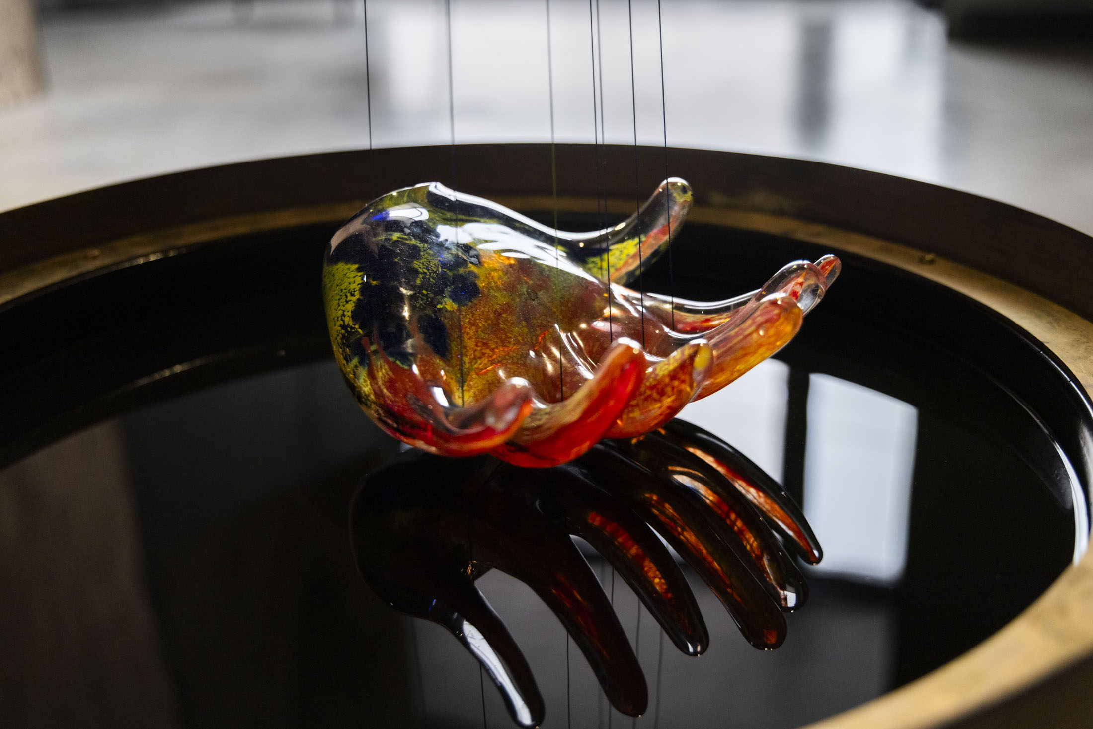 Cristina mejías at centro de creación contemporánea de andalucía c3a, cordoba room 01 13