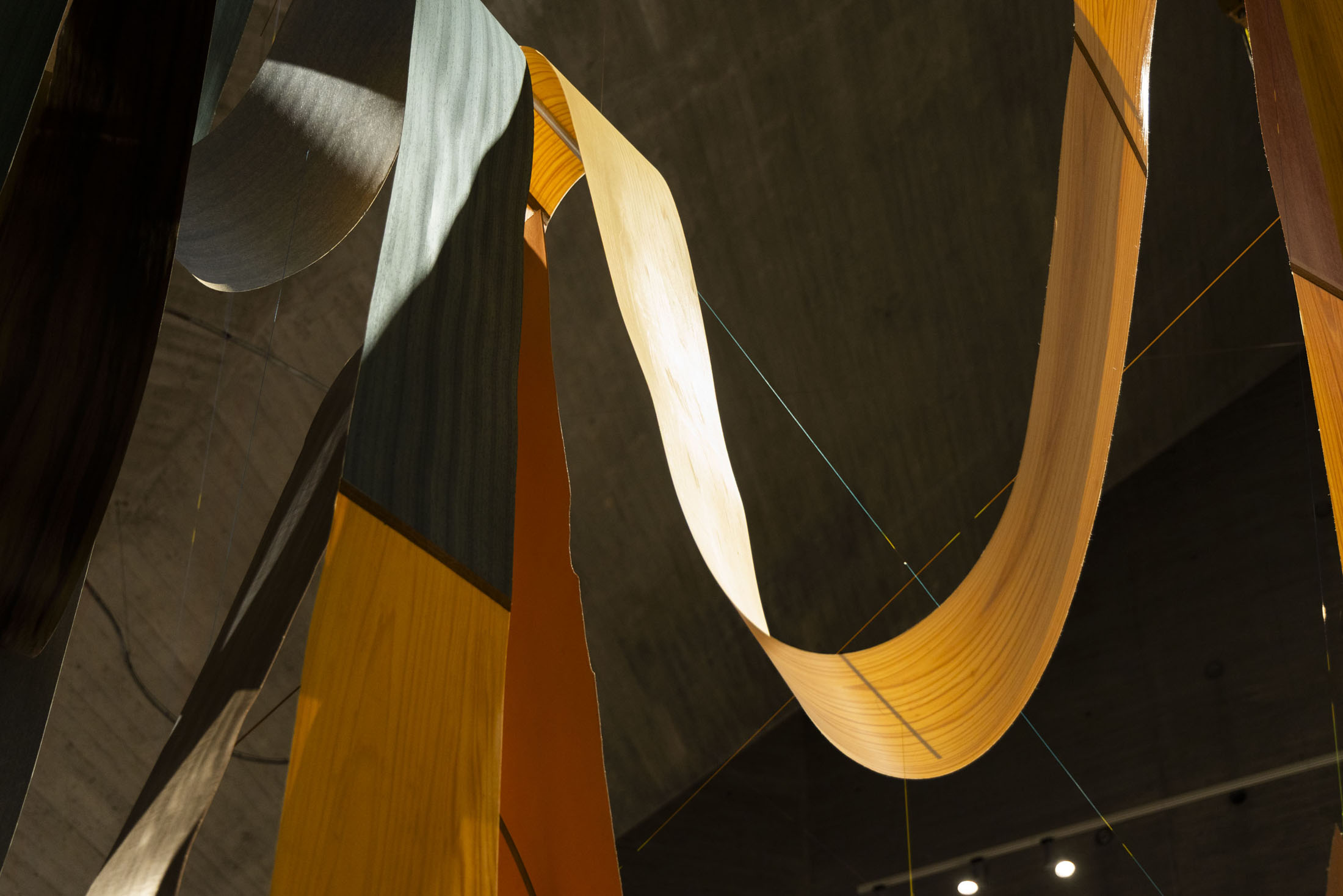 Cristina mejías at centro de creación contemporánea de andalucía c3a, cordoba room 01 22