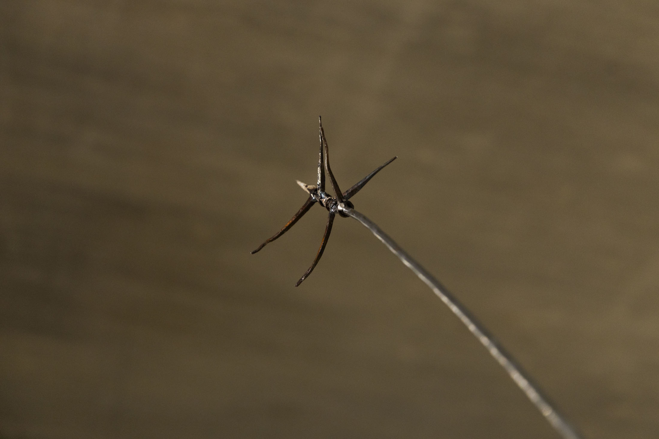 Cristina mejías at centro de creación contemporánea de andalucía c3a, cordoba room 01 26