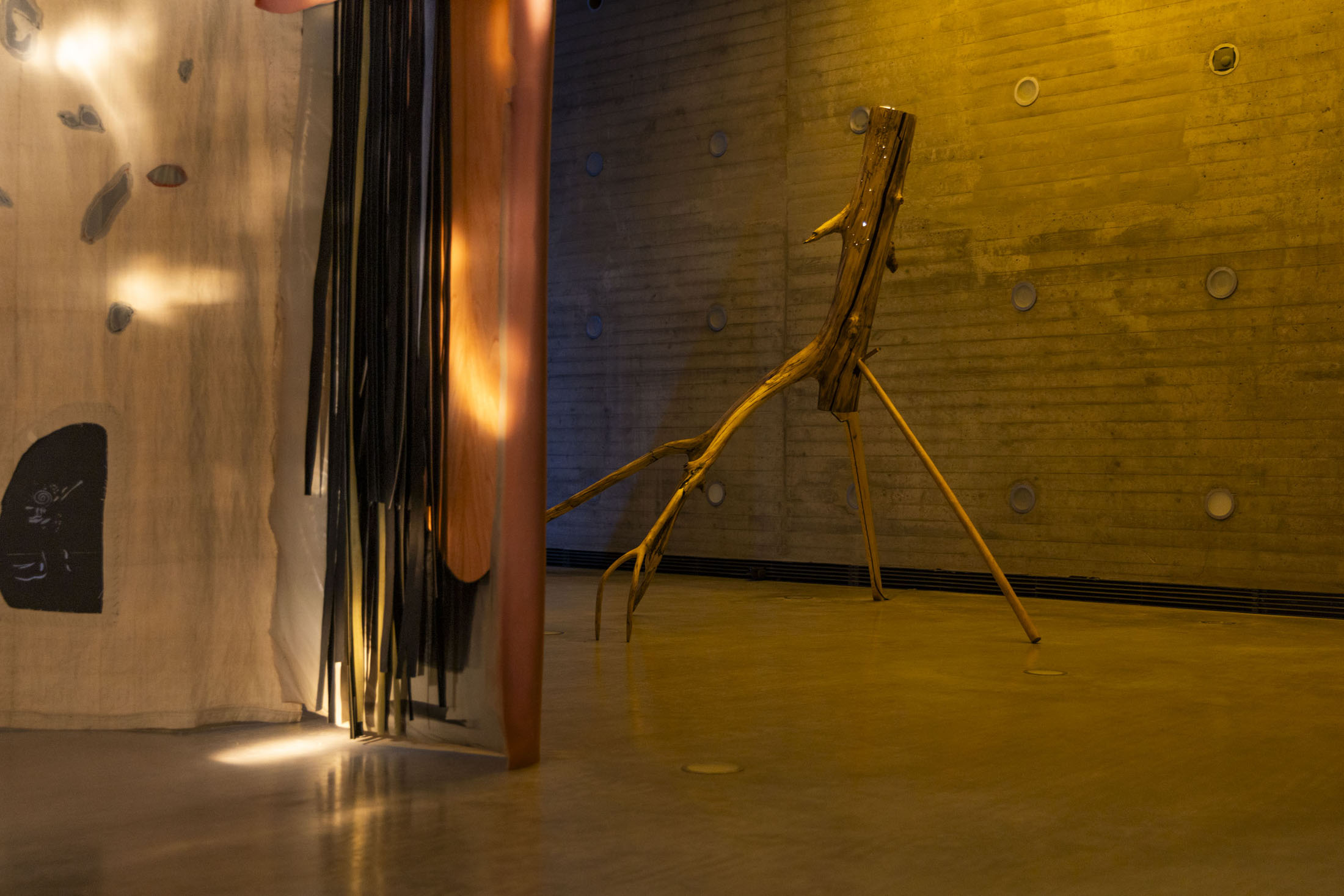 Cristina mejías at centro de creación contemporánea de andalucía c3a, cordoba room 02 22