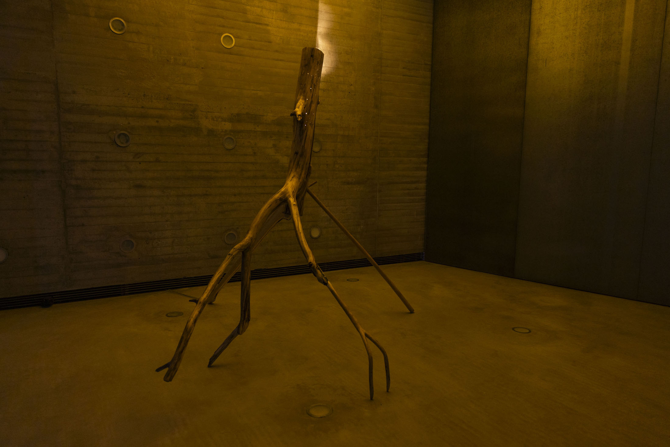 Cristina mejías at centro de creación contemporánea de andalucía c3a, cordoba room 02 25