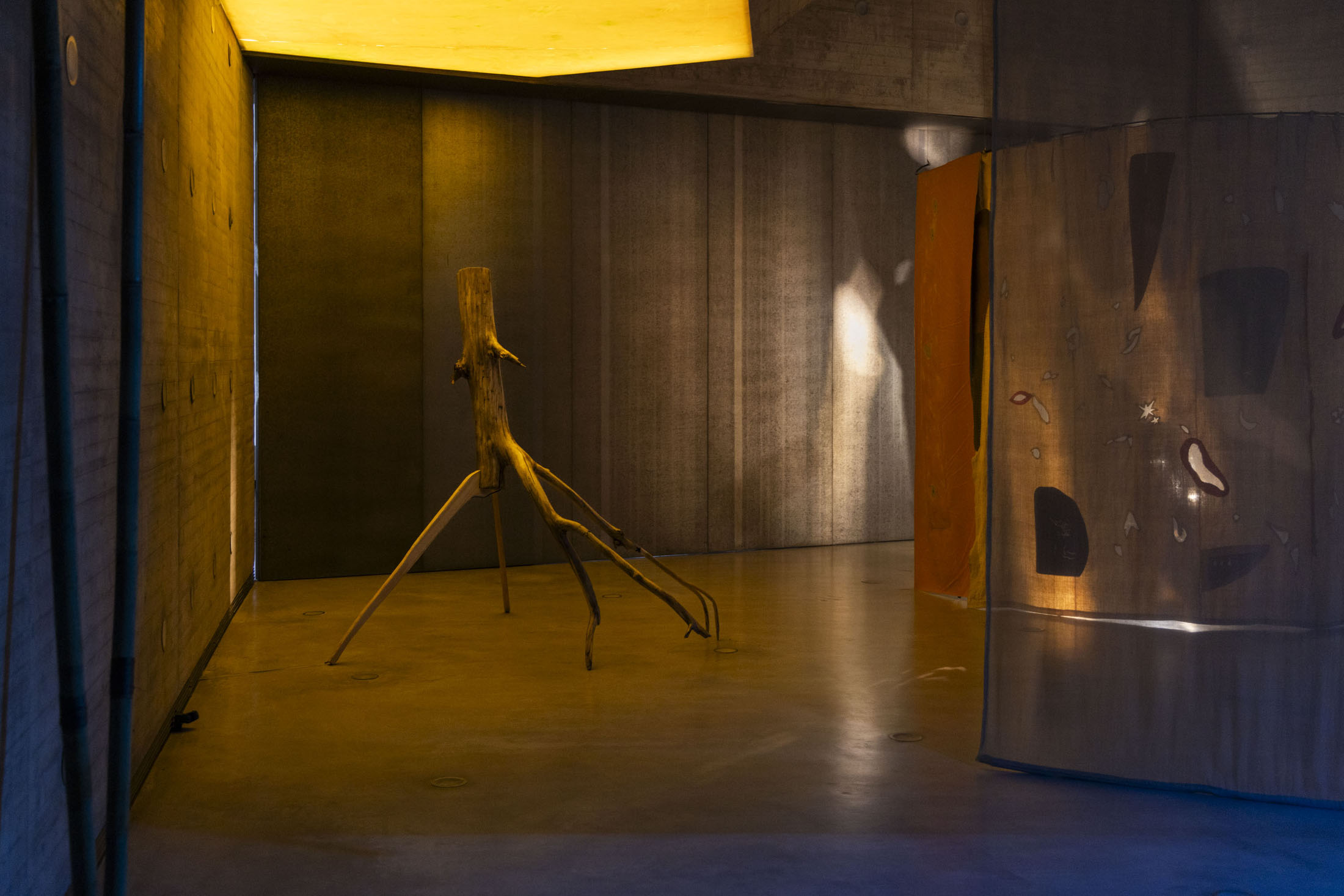 Cristina mejías at centro de creación contemporánea de andalucía c3a, cordoba room 02 32