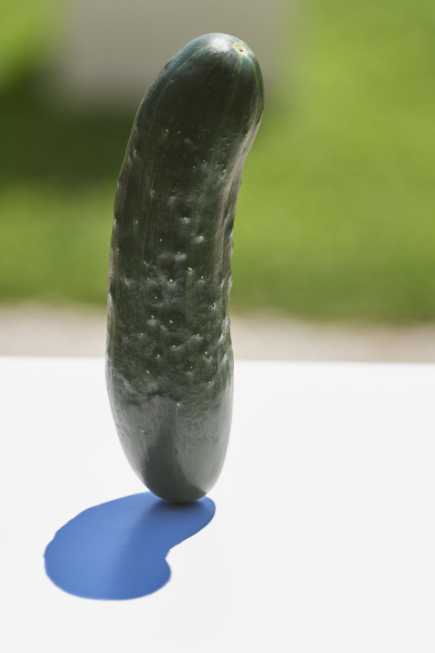 Into the wild at schloss meiselberg, austria 3