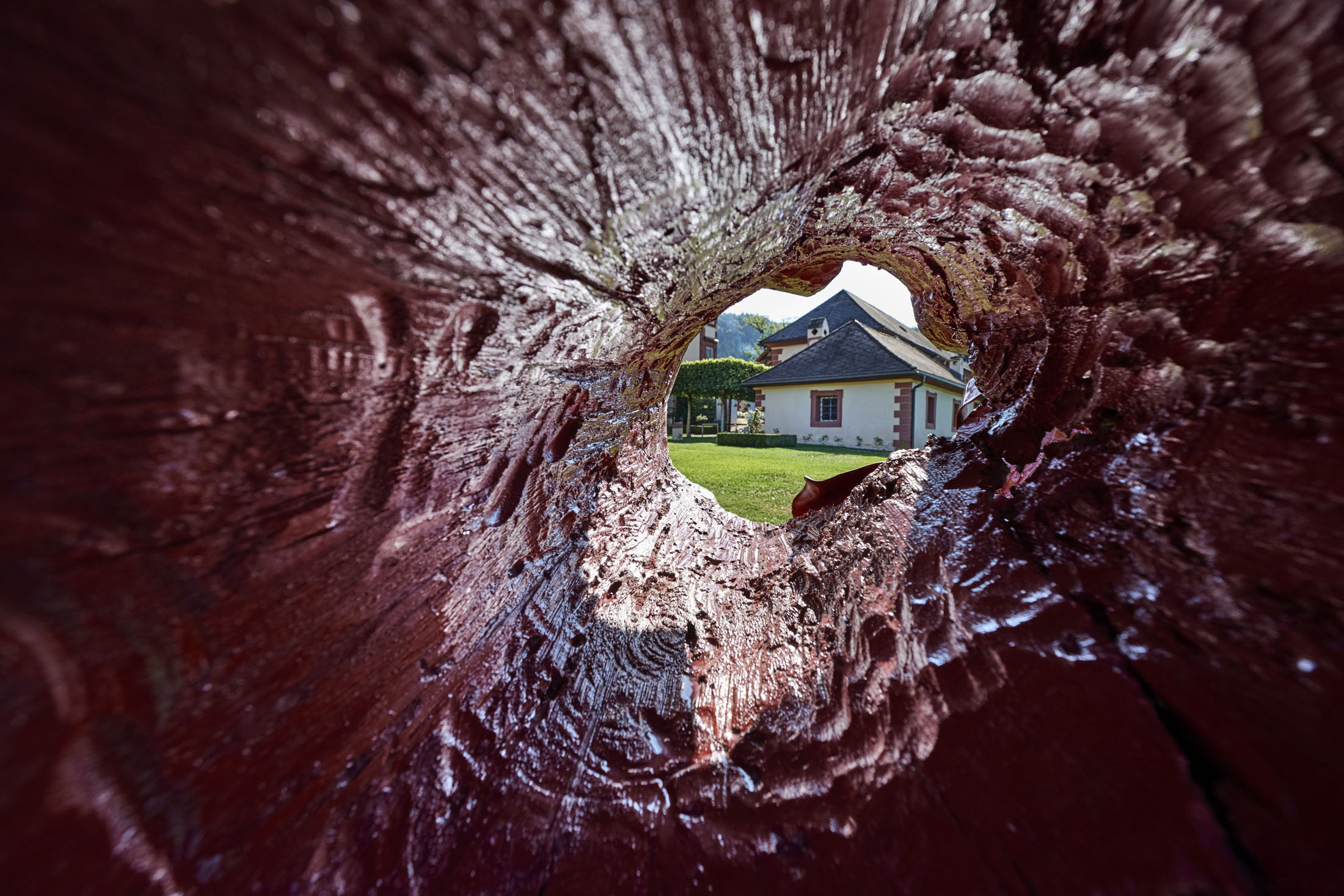 Into the wild at schloss meiselberg, austria 34