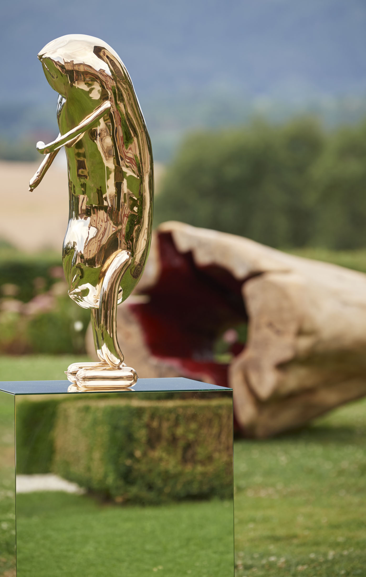 Into the wild at schloss meiselberg, austria 8