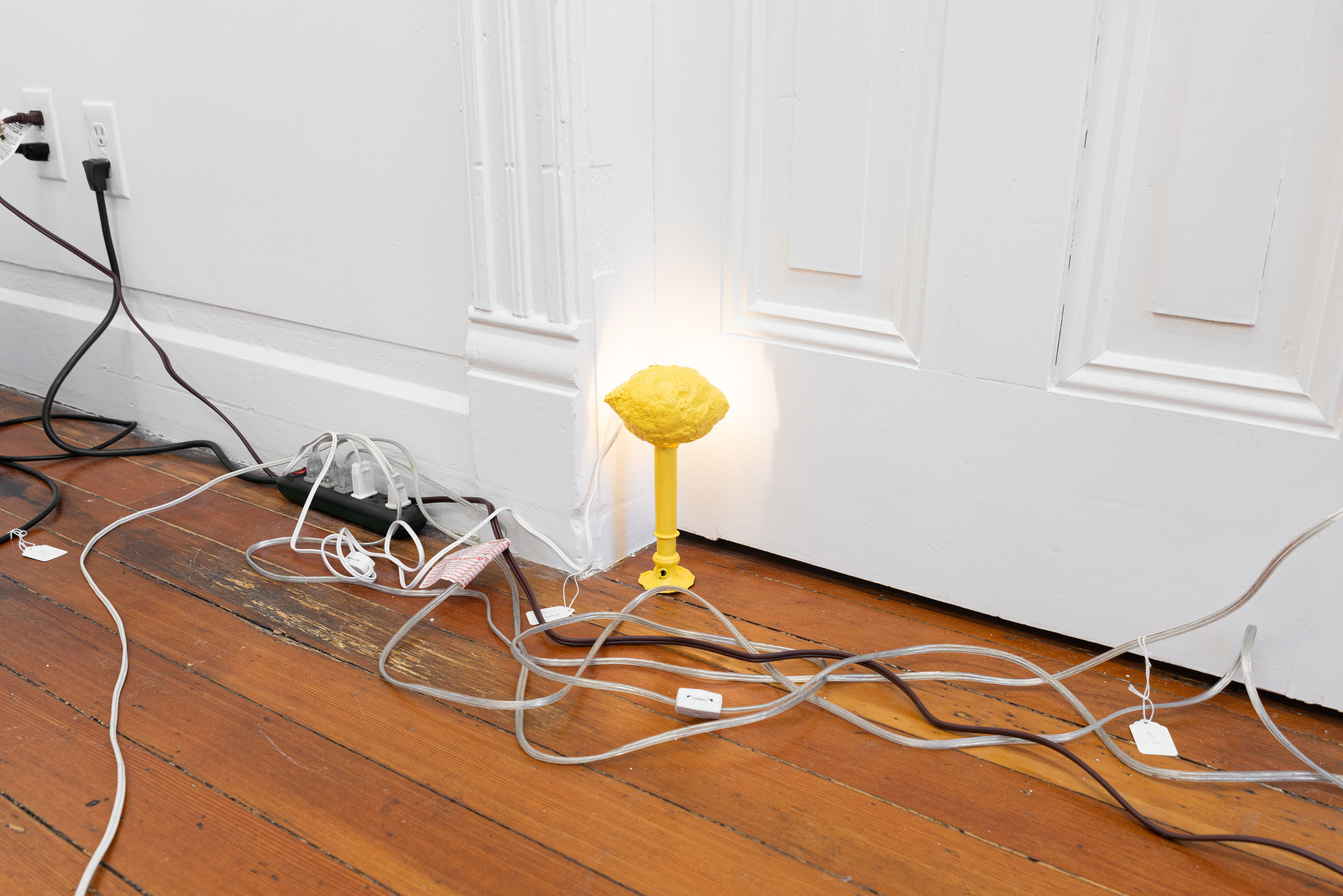 Lydia rosenberg at society, portland 10