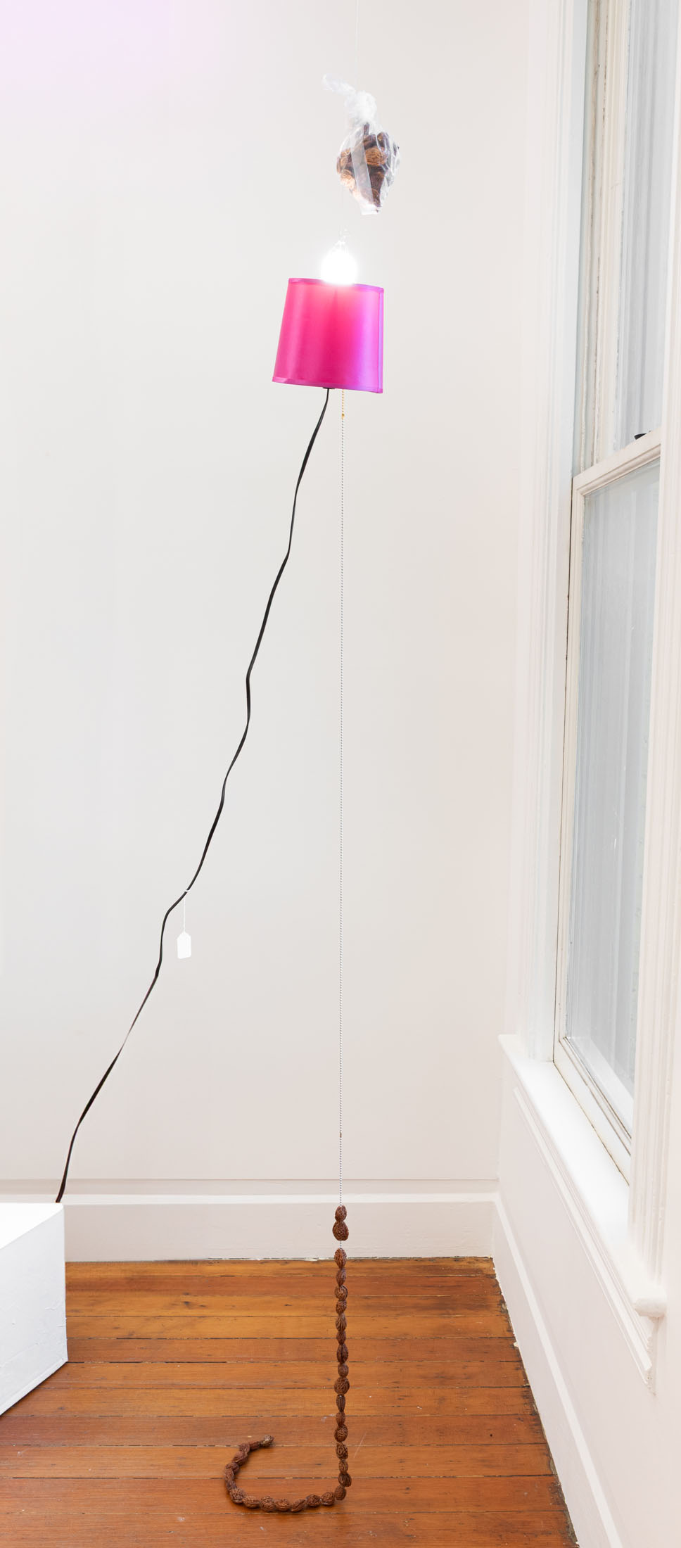 Lydia rosenberg at society, portland 19