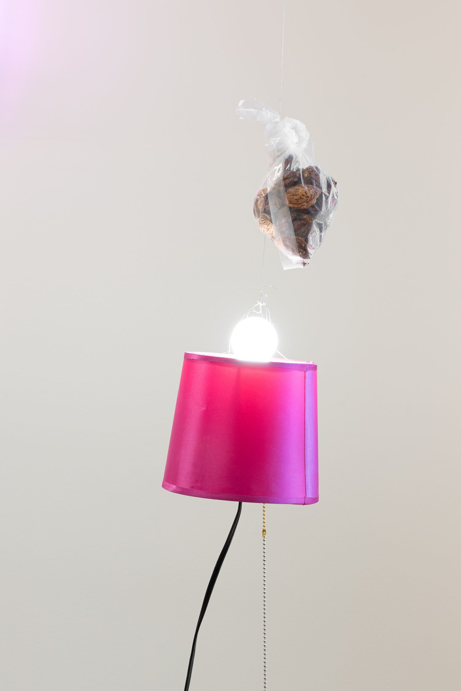 Lydia rosenberg at society, portland 20