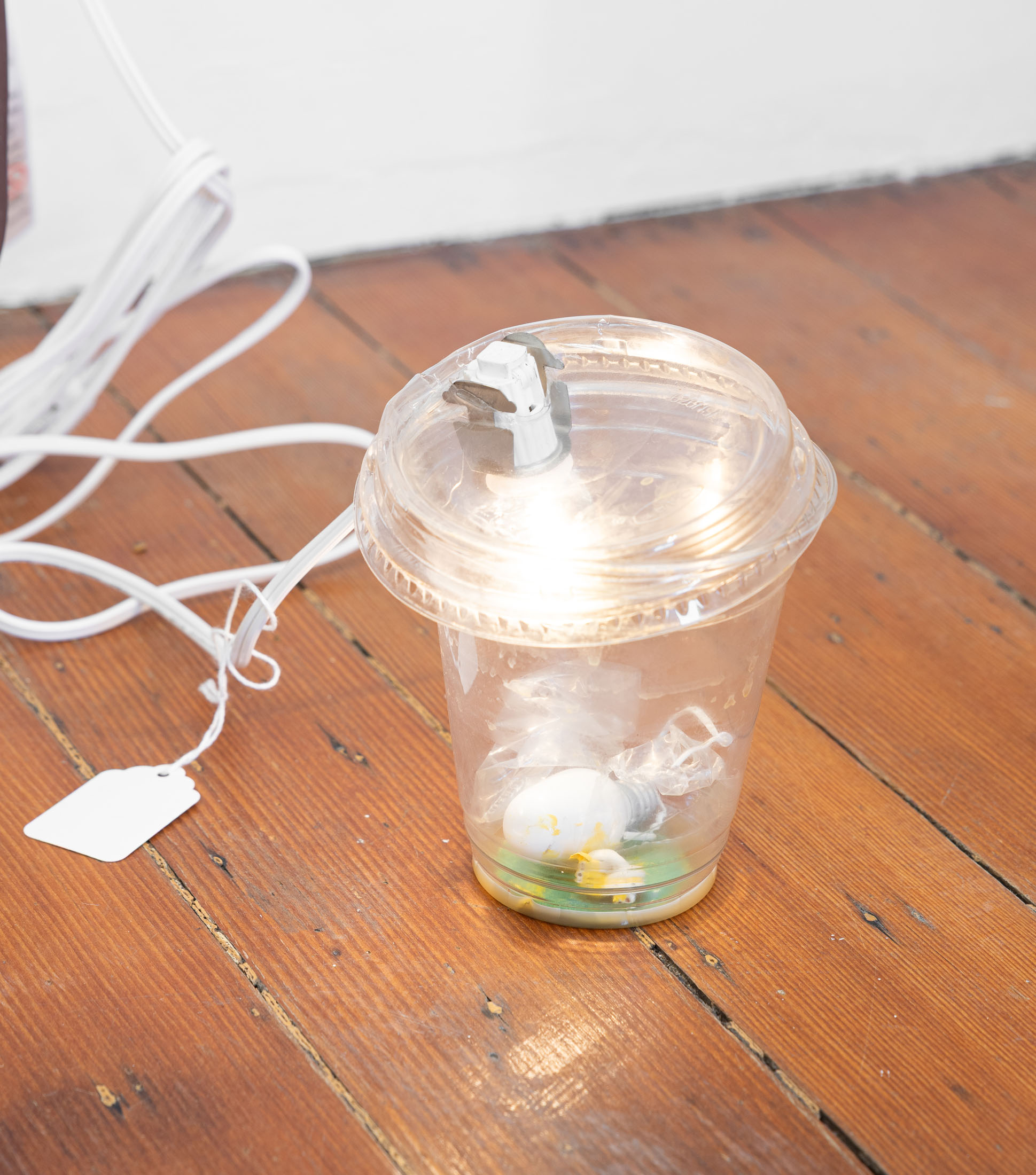 Lydia rosenberg at society, portland 21