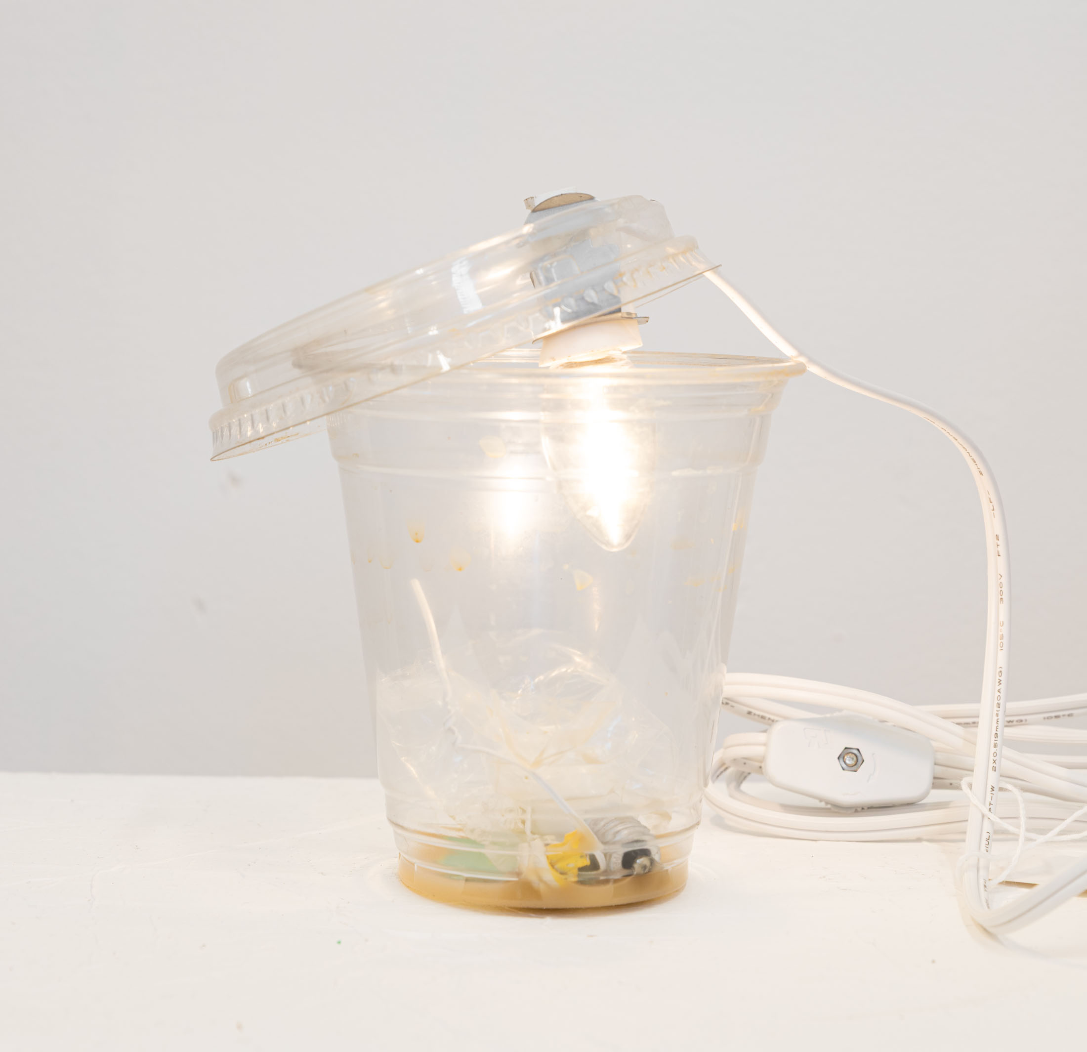 Lydia rosenberg at society, portland 22